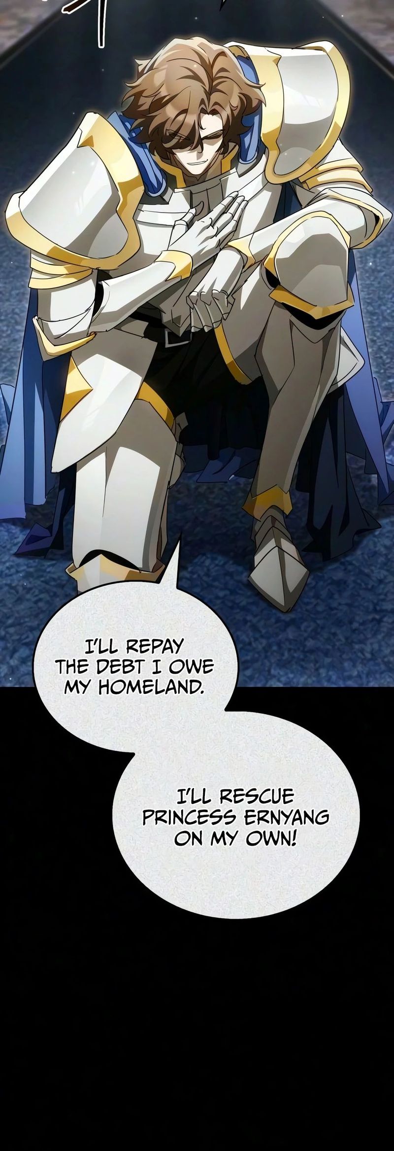 The Demon King Overrun by Heroes - Chapter 43 Page 5