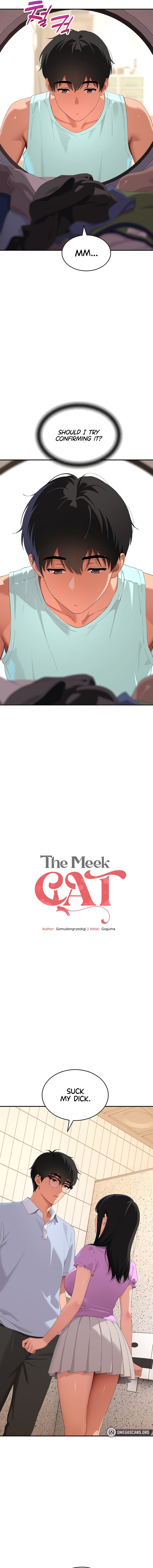 The Meek Cat - Chapter 24 Page 5
