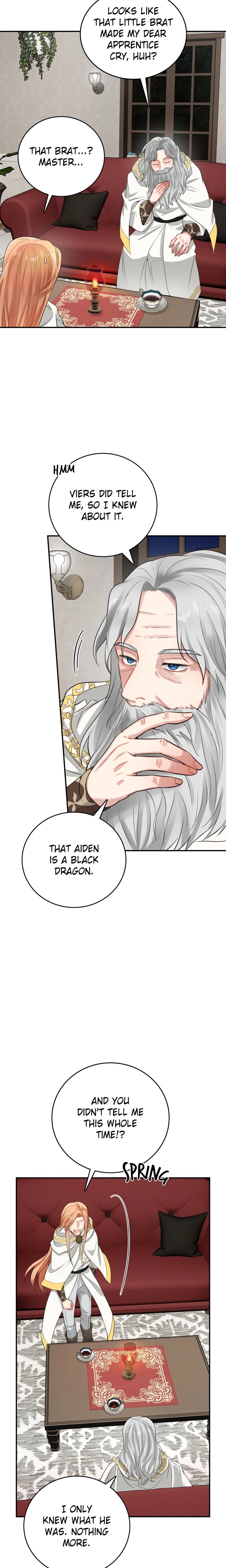 The Newlywed Diary of a Witch and a Dragon - Chapter 22 Page 21