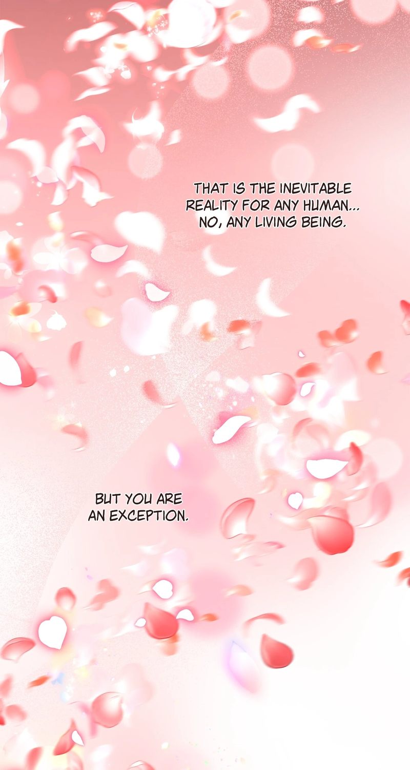 Skeleton Soldier Couldn’t Protect the Dungeon - Chapter 334 Page 146