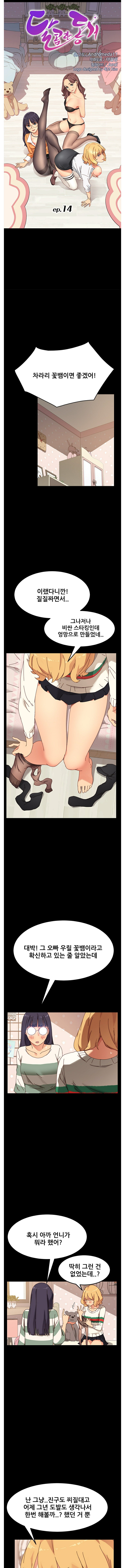 Sweet Cohabitation Raw - Chapter 14 Page 2