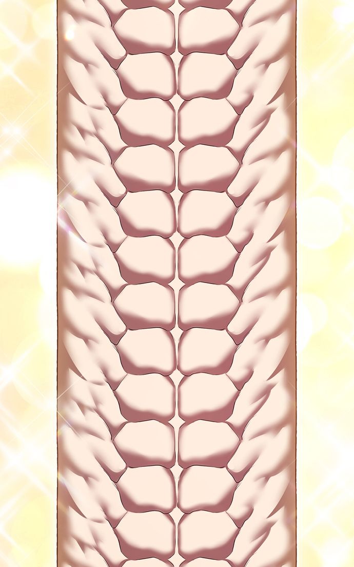 +99 Wooden stick - Chapter 131 Page 60