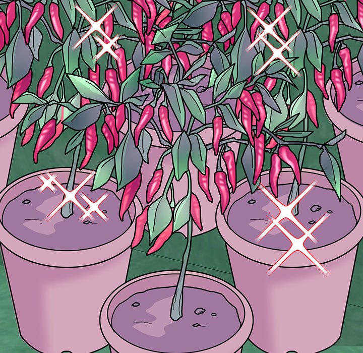 Bride’s Kitchen - Chapter 10 Page 151