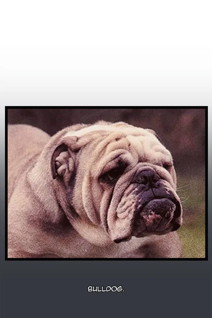 From Weakling to Nemesis - Chapter 7 Page 1