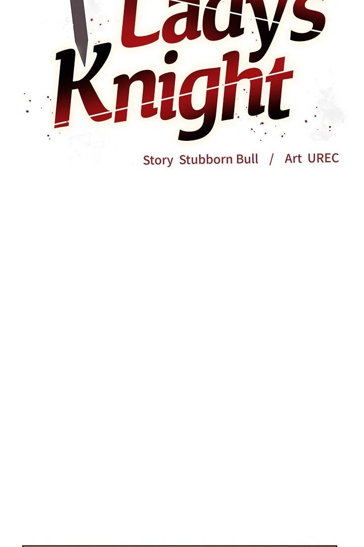 I Will Protect the Lady - Chapter 9 Page 18