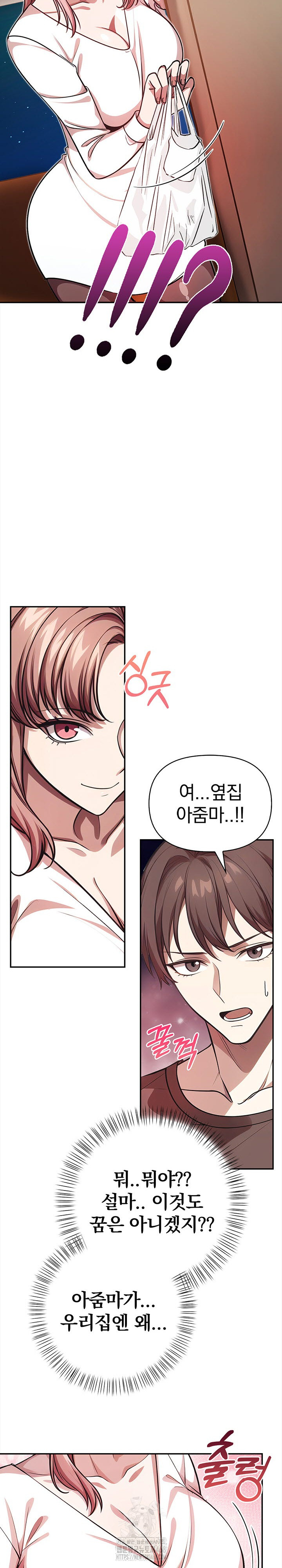 The Married Woman, Jieun Raw - Chapter 2 Page 19